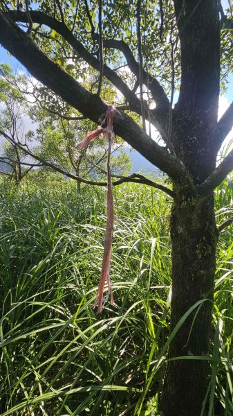 20251015木尾山-竹子湖水尾山-竹子湖西峰(騎車爬山)2915987