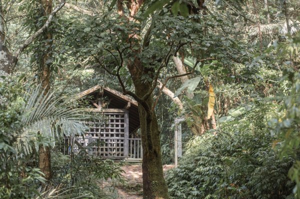 馬胎古道 （馬胎一期、南坪古道、內灣老街）3073775