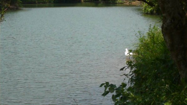 基隆大武崙山638198