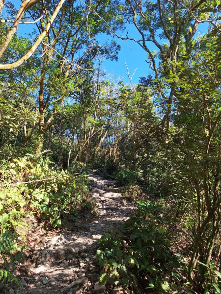 日湯真山202601042978564