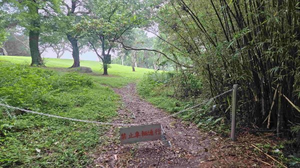 20250424八勢古道-東小坪頂山-貴子坑山主東西-水磨坑山2769511