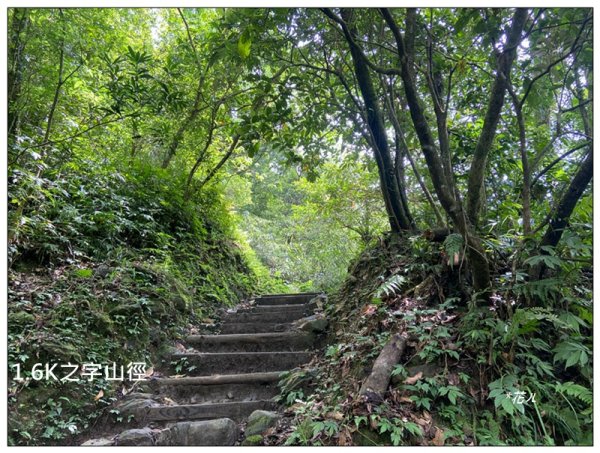 聖母峰、三角崙山 (抹茶山) 連走2802211