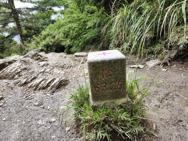 北一段(13/14)審馬陣山 2025_0906~132887556