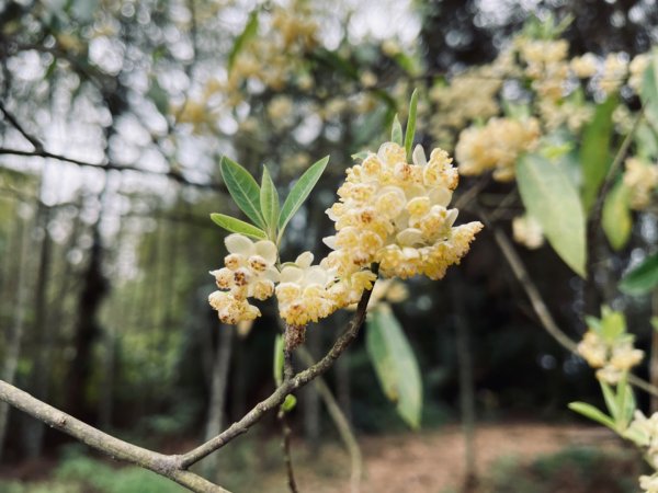 過坑山快閃2685067