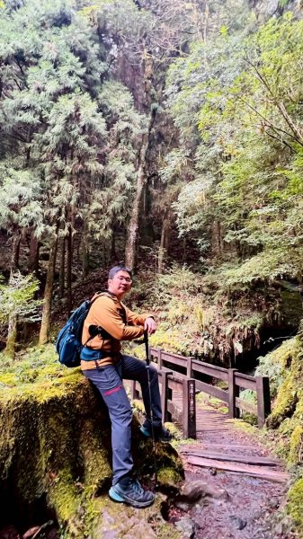 🌈3/28（六）觀霧檜山巨山步道×瀑布步道✨FB：熊熊趴爬走🌈3025246