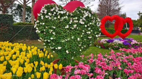 #士林官邸 #鬱金香 #中正紀念堂 #大漁櫻 2/283007869