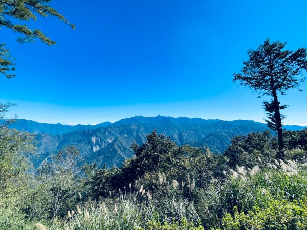 20251209 阿里山-小笠原觀景平台、祝山觀日步道2959792