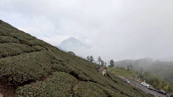 雲嘉五連峰 (大尖山、二尖山、馬鞍山、梨子腳山、太平山)2991078