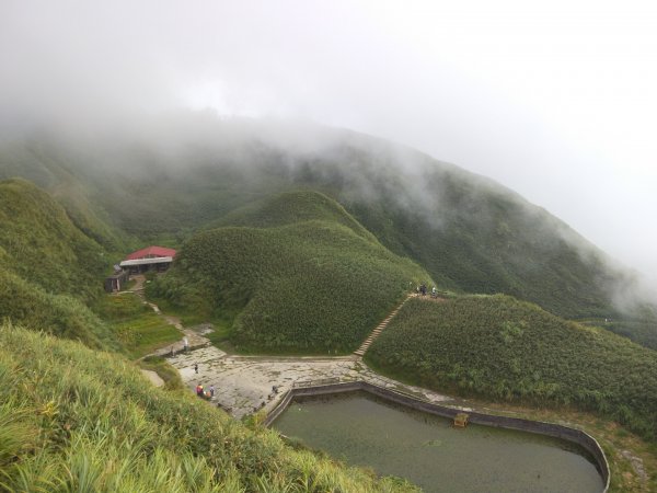 抹茶山♥柴柴奇遇記1080909