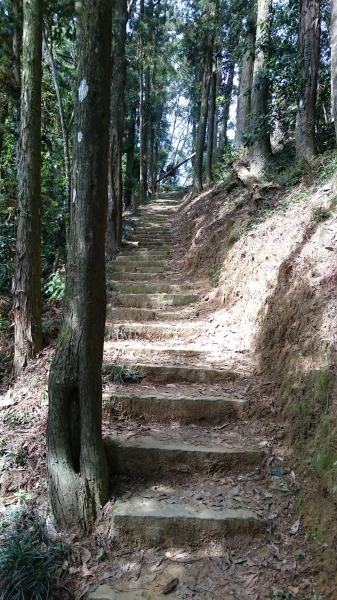 仙山登山步道41008