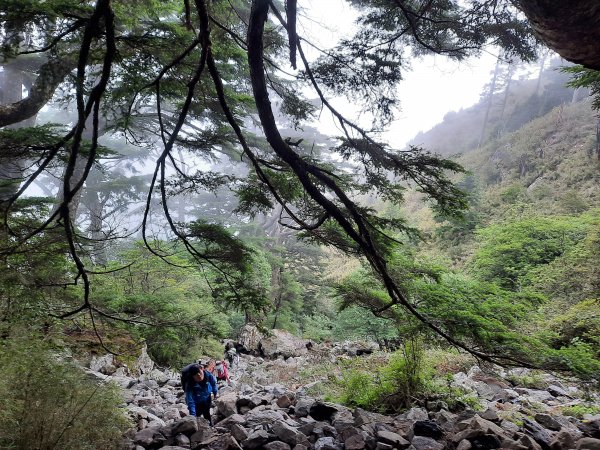 玉山前峰 真的是爬山封面