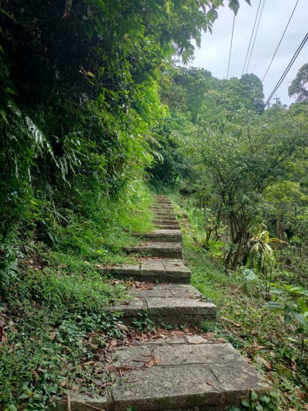 2022/7/22 小百岳［土庫岳］+更寮古道2230773