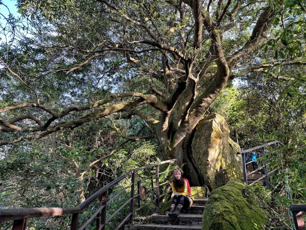 象山公園 四獸山 九五峰 南港山 O繞1970674