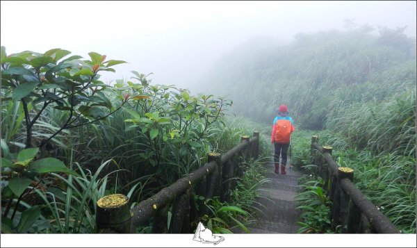 貂山古道&燦光寮古道小O (淡蘭古道北路585784