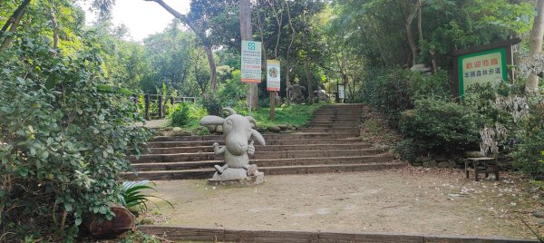 羊稠森林步道2776977