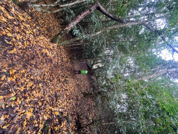 霞喀羅古道-石鹿進-白石駐在所兩天一夜2683892