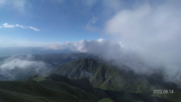 久違的觀音圈，差強人意的雲瀑1803125