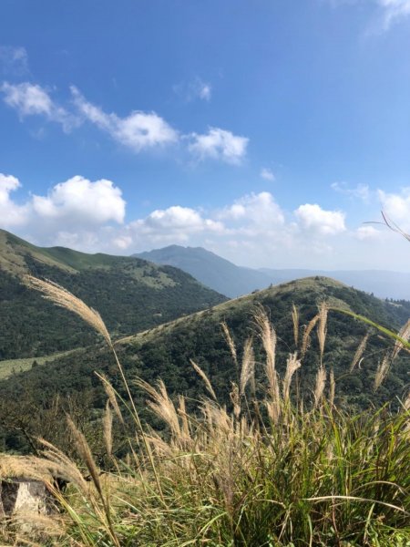 大屯山西峰542115