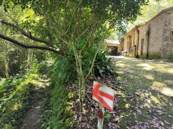 關西赤柯山、東獅頭山步道（玉山太元宮中元）2881679