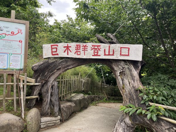 2025_0524 司馬庫斯神木群步道2797187