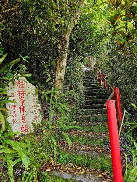 小百岳集起來-三角崙山2185371