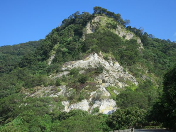 【新聞】貴子坑之秋 紫雨飄香落滿地