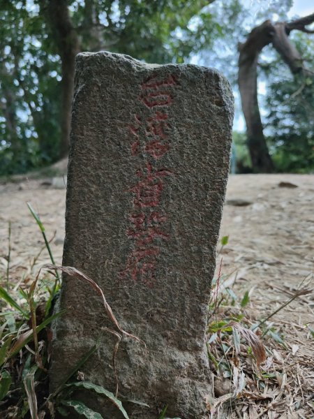 2023.12.23 高雄大崗山2834937