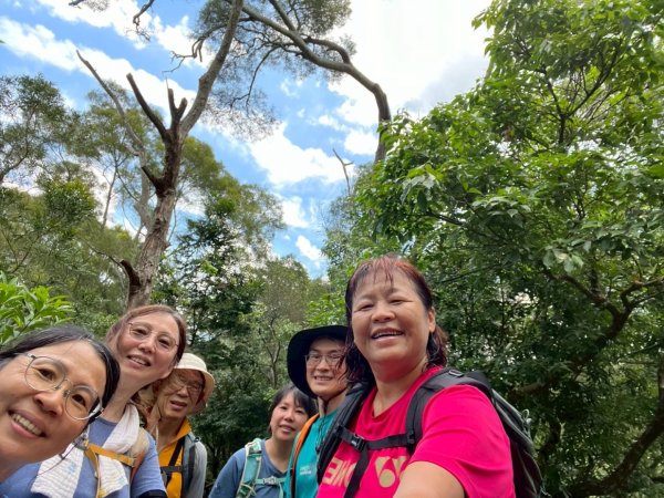 大坑1號和2號步道2826378