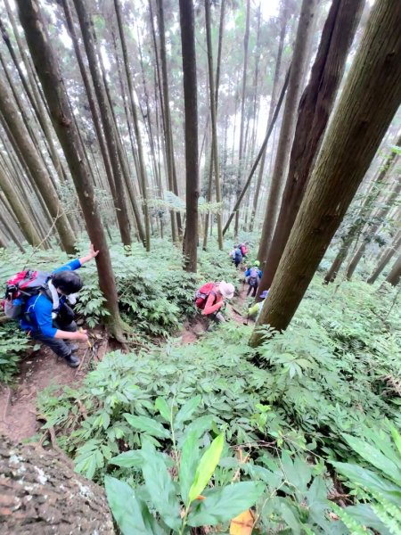 光天高山 - 向天湖山(小百岳32) 小O一圈2876743