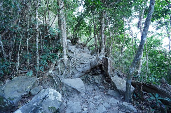 臺中 和平 白毛山、次郎山2670928