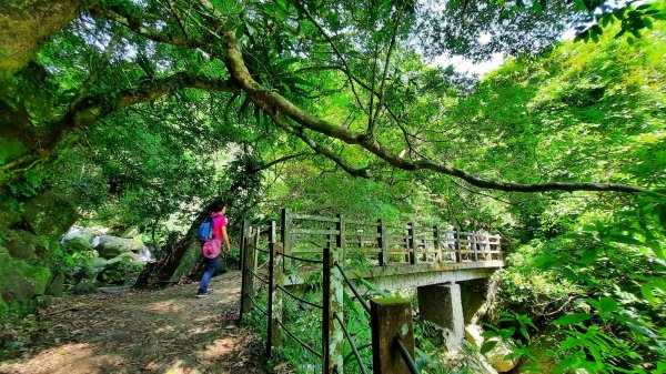 《新竹》古道巡禮｜馬胎古道202207161765486