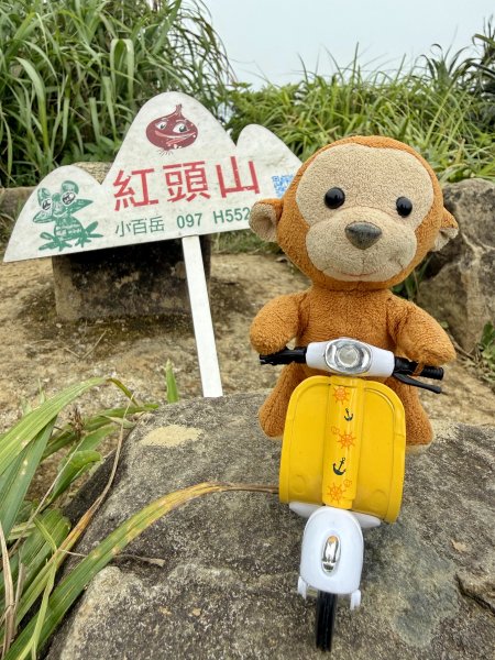 蘭嶼紅頭山202604203048130