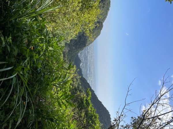 20231118_鵲子山步道（宜蘭小百岳）2763009