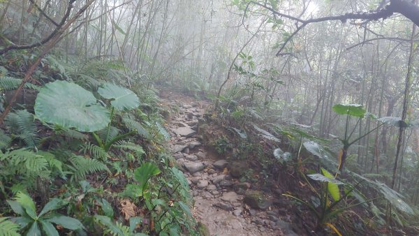 臺南白河關子嶺雞籠山步道1571877