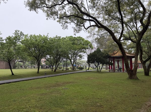 [樟之細路_第一大段RSA03] 2026_0329 石園3027039
