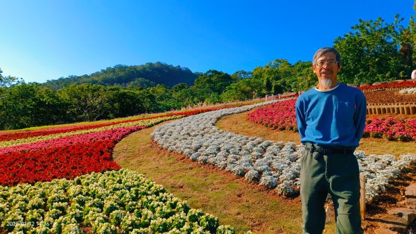 暖暖冬陽北投趴趴走，農禪寺/三層崎/貴子坑 #雪貂 #寵物貂2686750