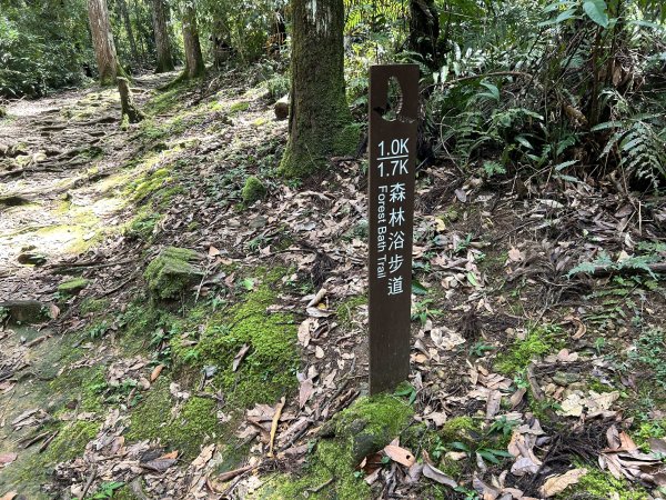 內洞國家森林遊樂區2806880