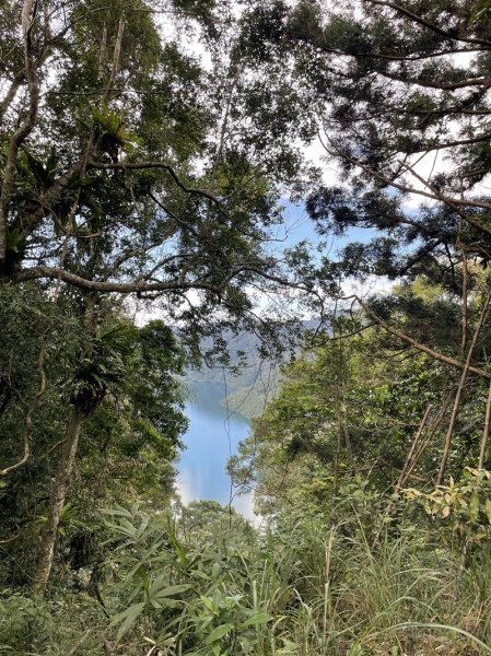 九芎根山-仁里板山2968844