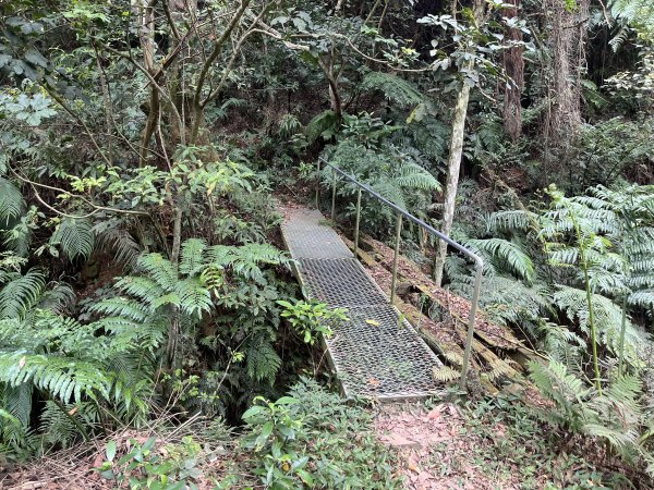 [皮皮獅探險隊-04/10] 2025_0706 三段崎古道2831762