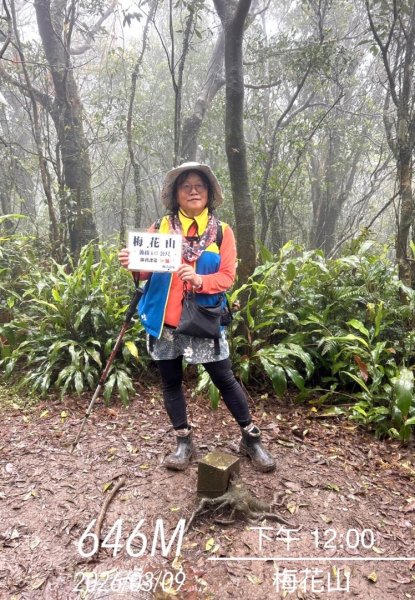 台北縱走第四段訪雙溪山 梅花山與西峰南峰西南峰 碧山3012833