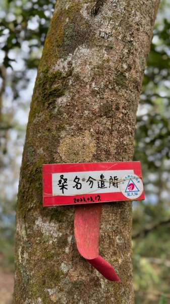 六龜警備道/茂林段/網子山～鳴海山2708194
