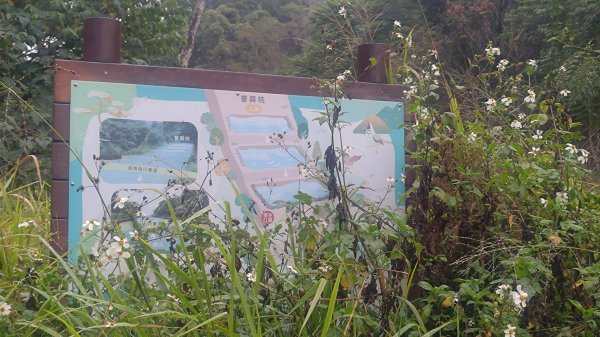 內樹尾、田中**山2708952