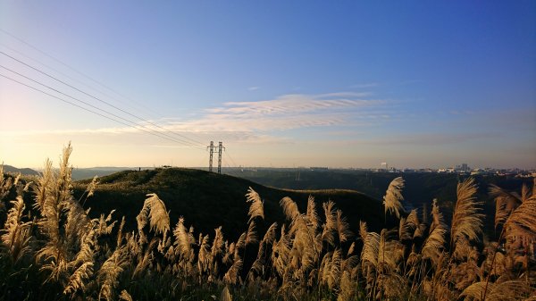 新北樹林-三角埔頂山1420662