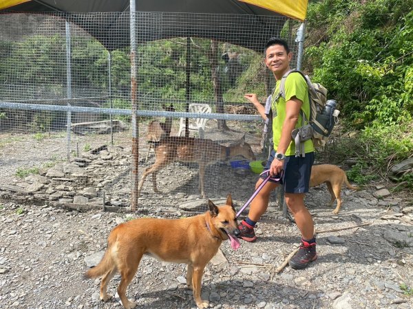 南東眼山.夢谷瀑布【好像是中級山探勘路線的荒山野嶺】2630619