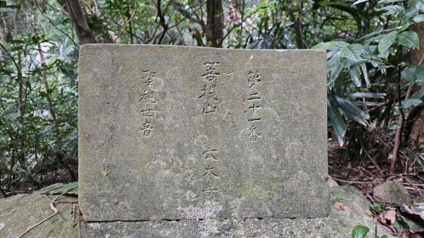 20260220大慈寺參拜道-四十基石-中正山-中正山東南峰3002836