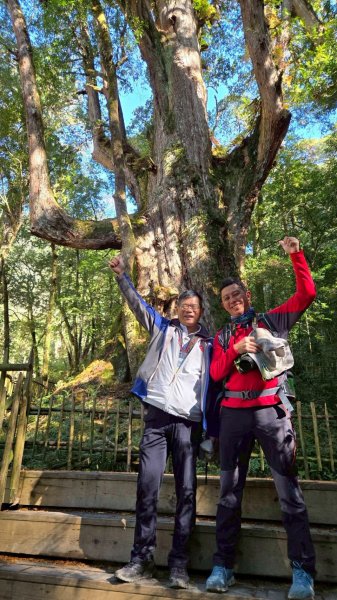 20260104司馬庫斯 &巨木群攀登2978860