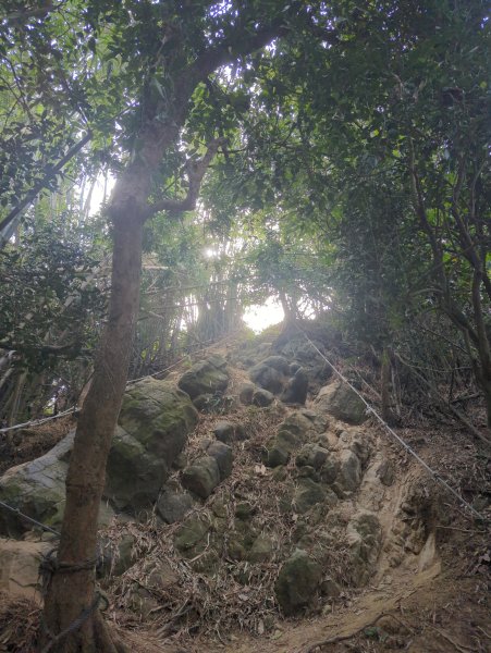 2024.12.21－旗尾山步道2677414