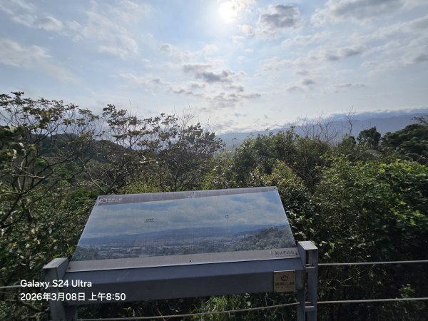 2026-03-08微笑山線：【大棟山系】百年大榕樹段3011686