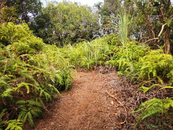 九華山福德宮-平溪子山-台和煤礦-北43鄉道-106縣道2907778