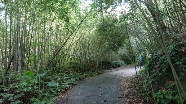 馬拉邦山上湖登山口O型走1069012